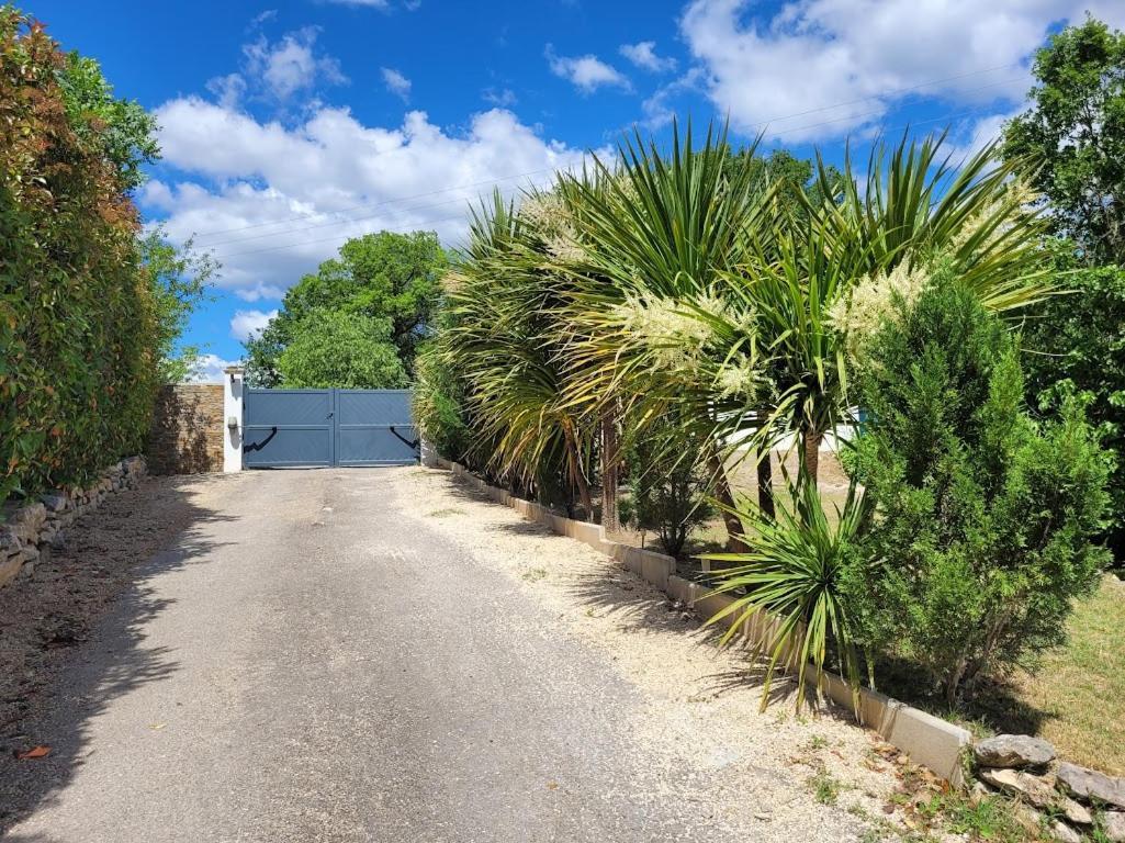 Villa Les Palmiers En Provence Besse-sur-Issole Exterior foto