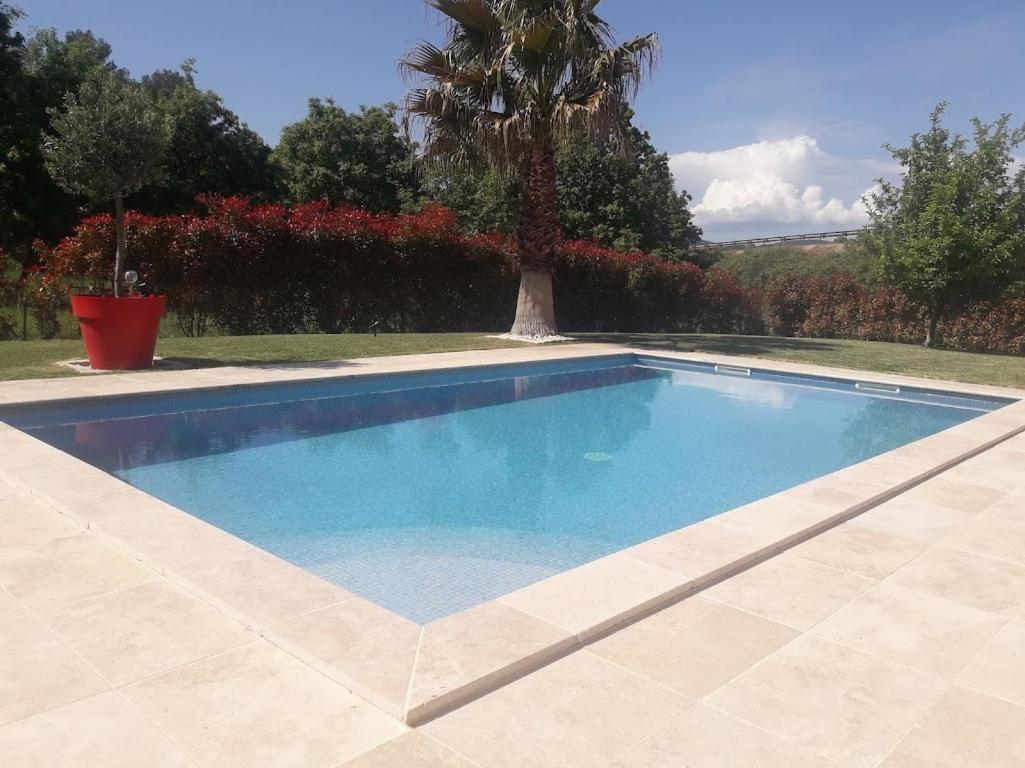 Villa Les Palmiers En Provence Besse-sur-Issole Exterior foto